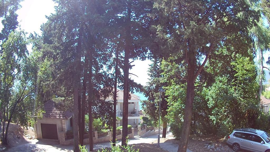Vuksanovic Apartment 赫尔采格诺维 外观 照片